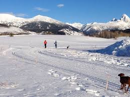 Alta Nordic Ski Track