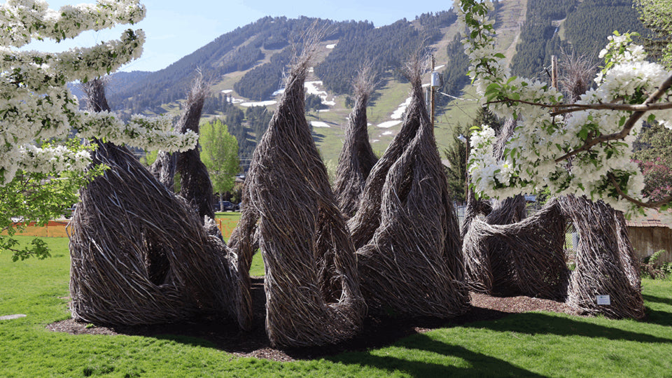 Art Association of Jackson Hole