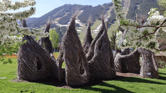 Art Association of Jackson Hole