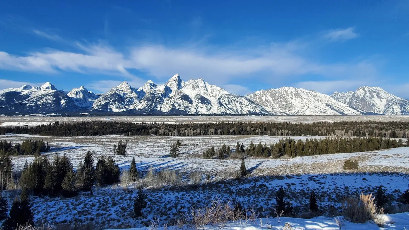 Backcountry Safaris