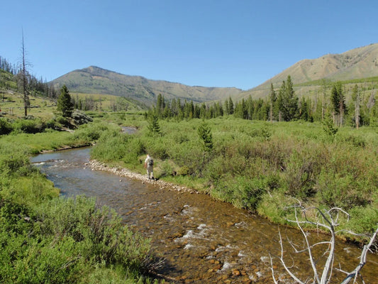 Fish The Fly Guide Service