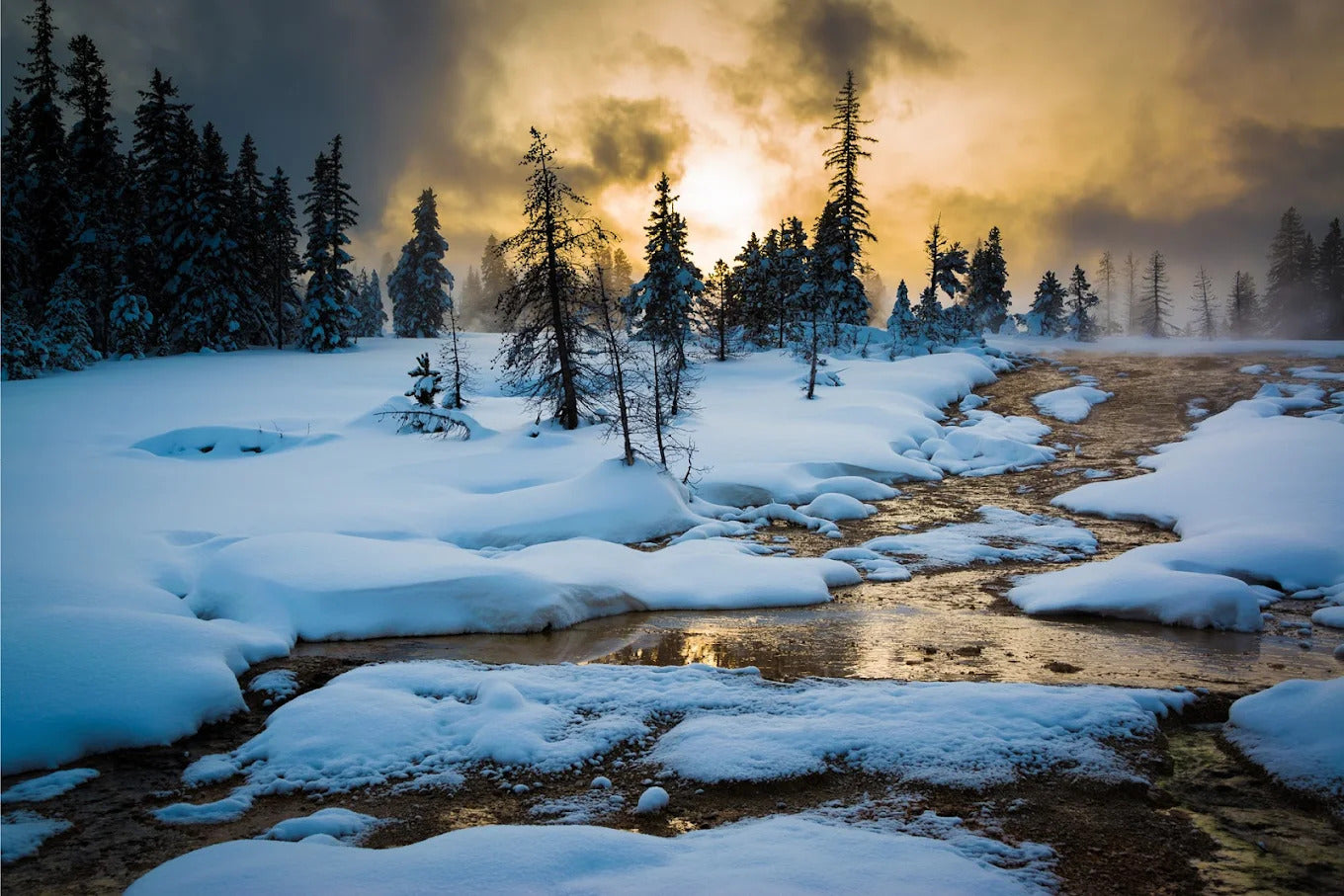 Great Western Expeditions