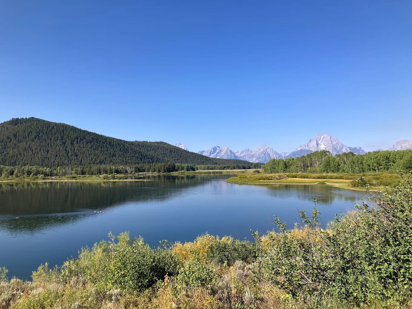 Grizzly Country Wildlife Adventures