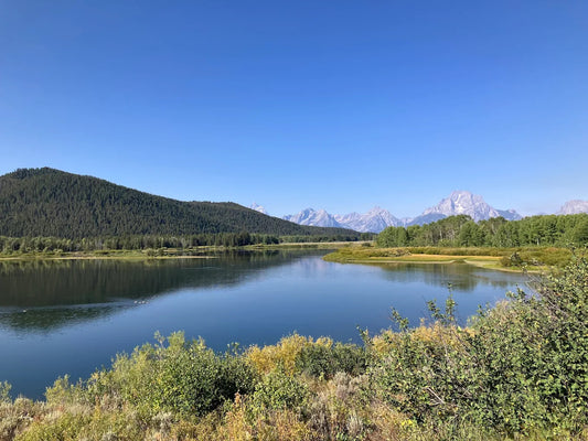 Grizzly Country Wildlife Adventures