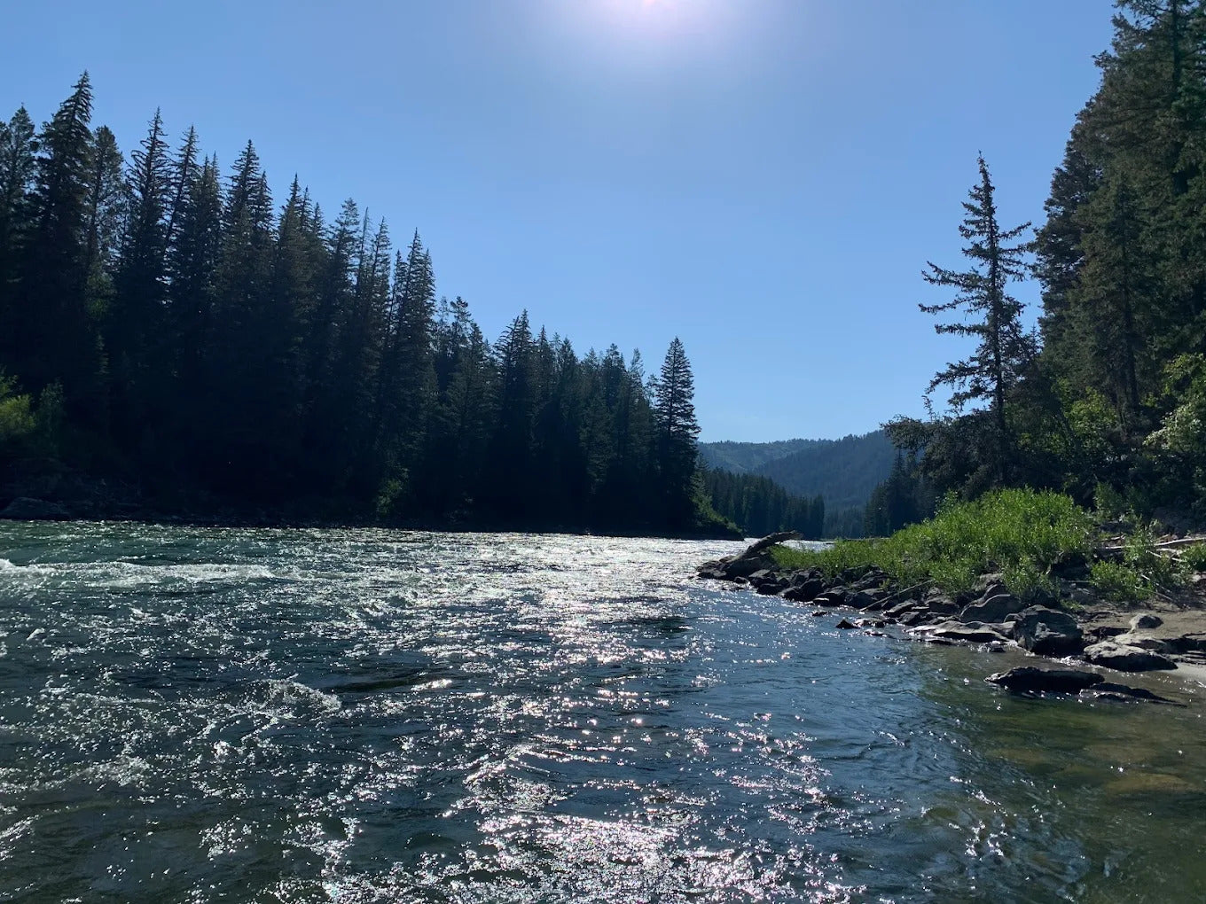 Jackson Hole Anglers