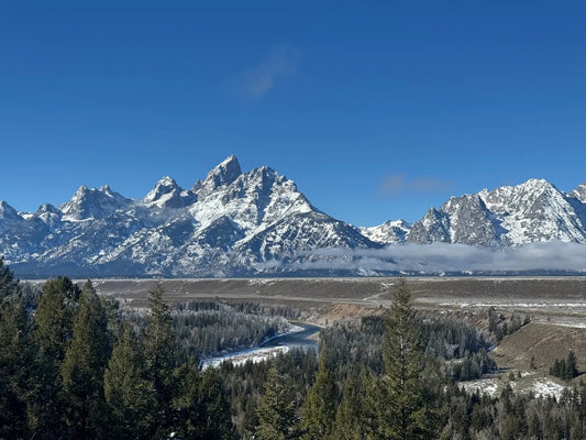 Jackson Hole EcoTour Adventures