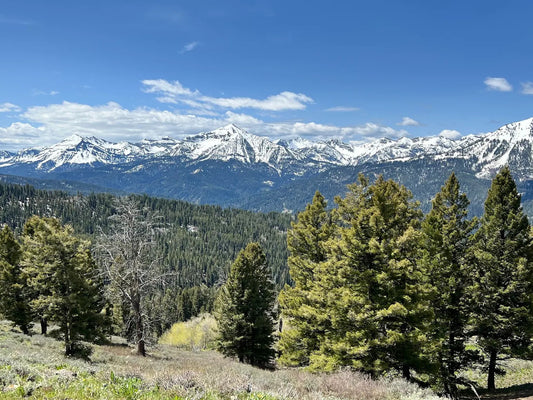 Jackson Hole Outfitters, LLC