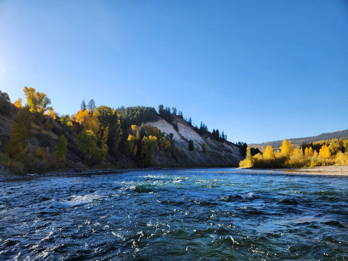 Mangis Fishing Guides