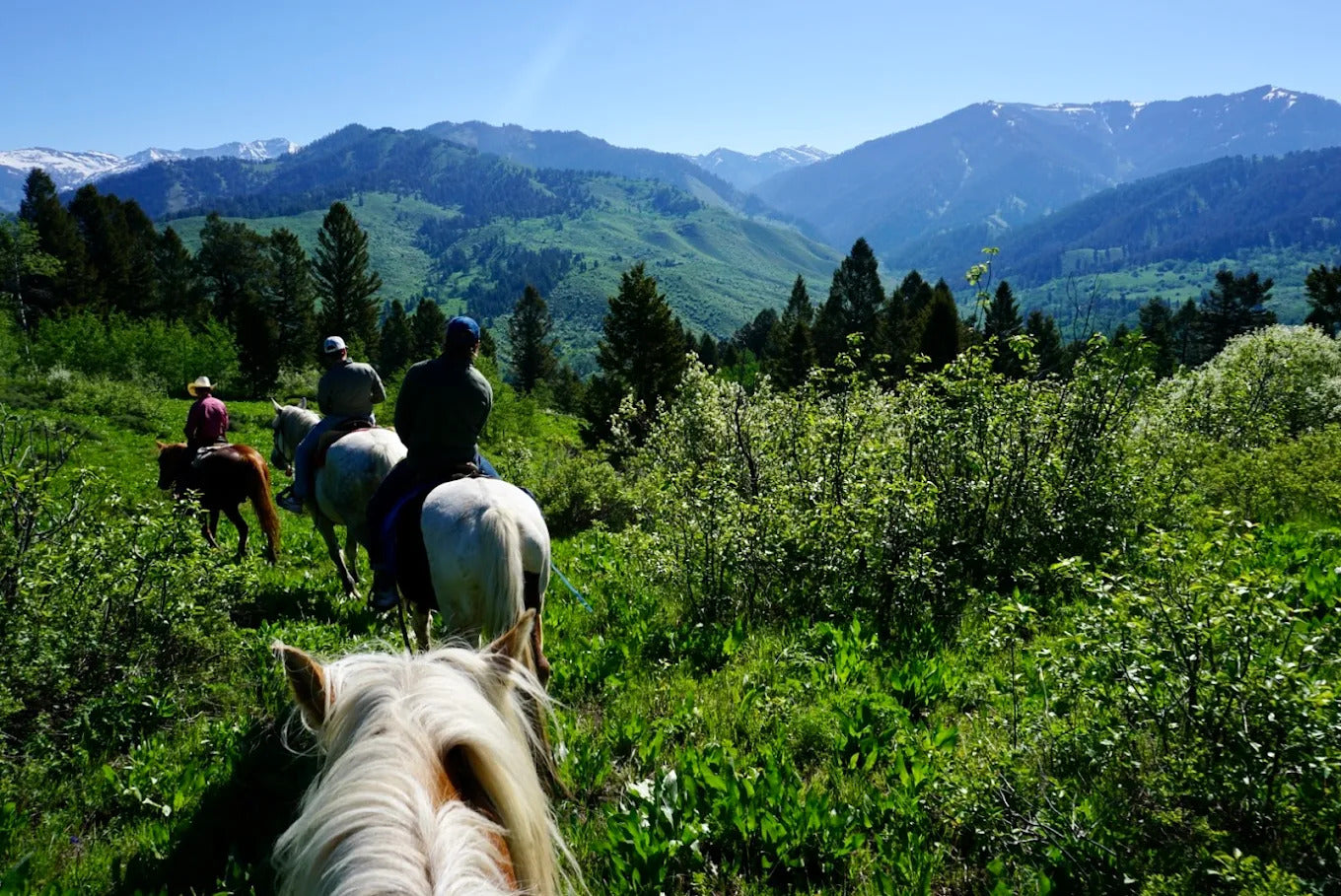 Mill Iron Ranch
