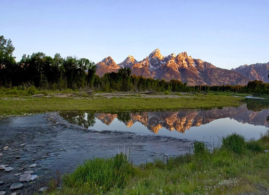 Mountain Lotus Massage Therapy