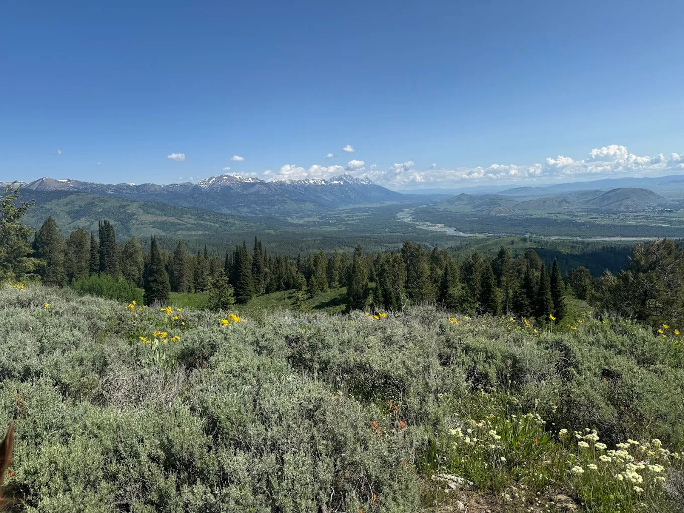 North Fork Trail Rides