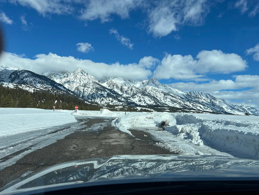 Off Grid JH Experiences