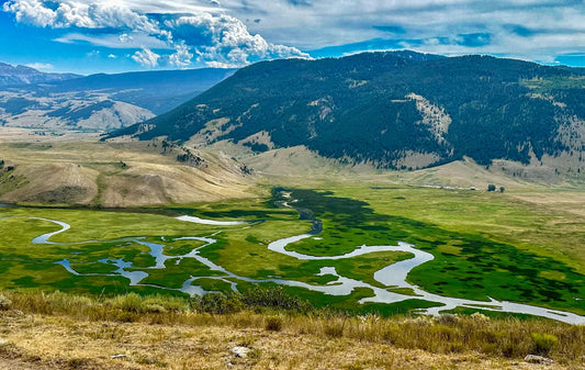 Spring Creek Western Riding