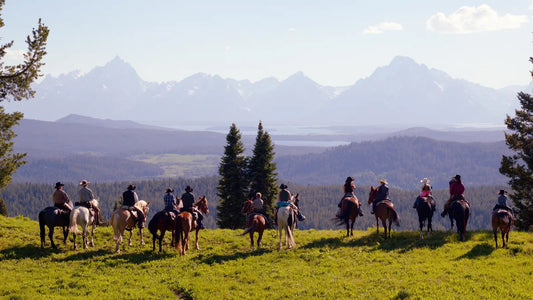 Swift Creek Outfitters – Teton Horseback Adventures