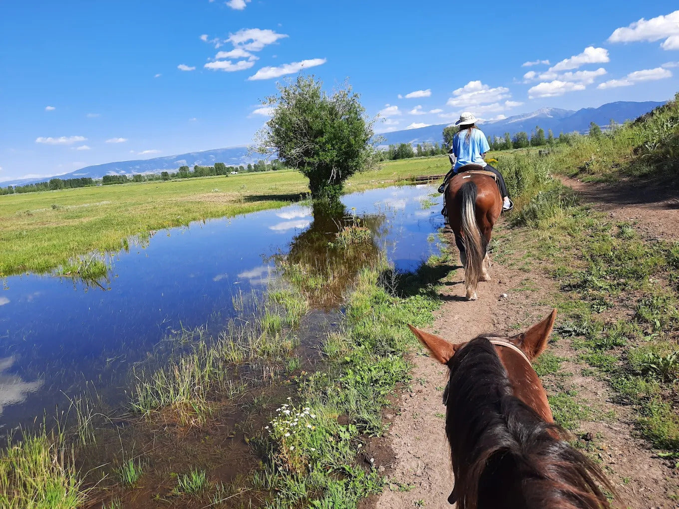 Teton Village Trail Rides
