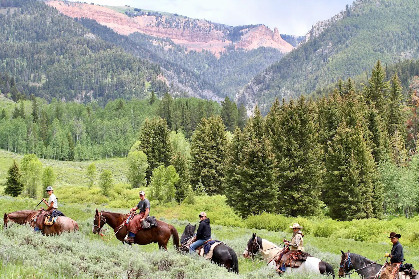 Willow Creek Horseback Rides