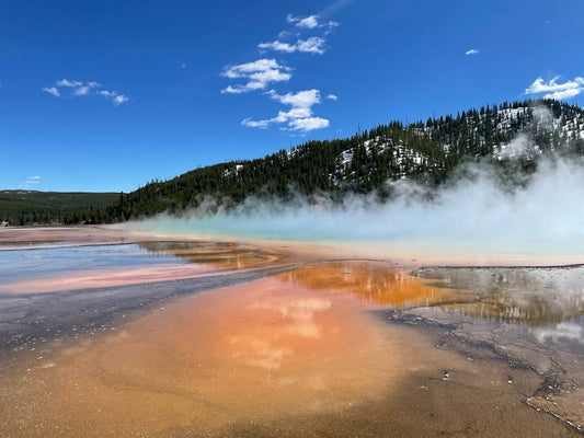 Yellowstone Day Tours